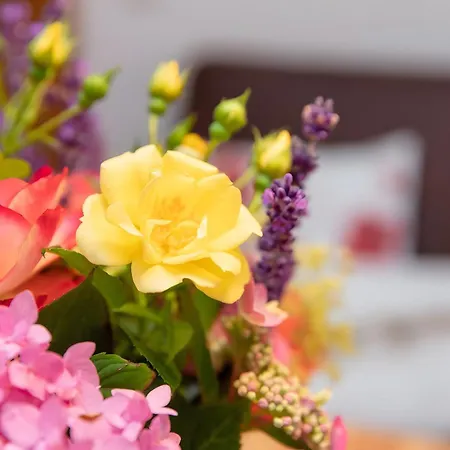 Hof In L I E B E S D O R F בית חווה *